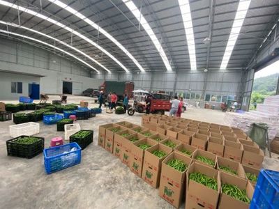 孫傳榮 走出產業融合發展之路，農副產品的創新與突破