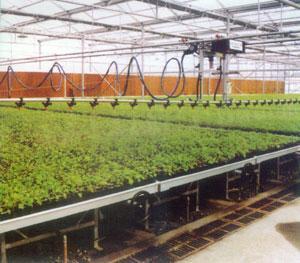 重華供應各類大棚噴灌系統 微噴、移動噴灌助力現代農業